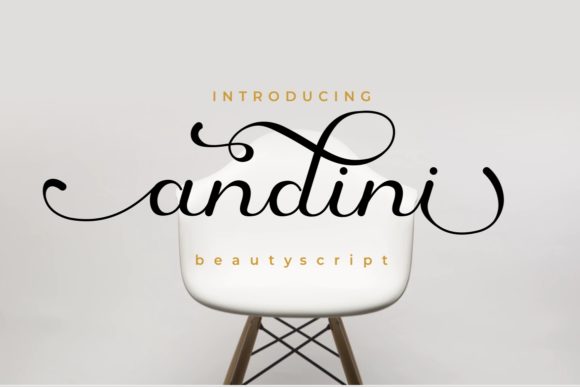 Andini: A Script Font That Elevates Campaigns with Style