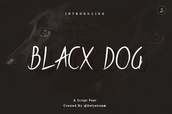 Blacx Dog: A Script Font That Elevates Your Digital Brand