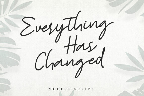 Everything Has Changed: A Timeless Script Font for Web Design