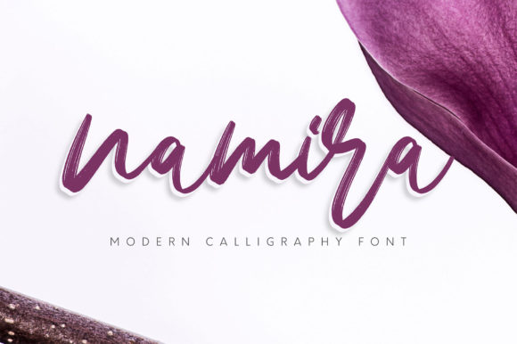 Font Choice That Breathes Life Into Branding: Namira