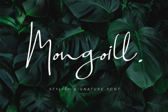 Mongoill: A Handwritten Font for Editorial Elegance