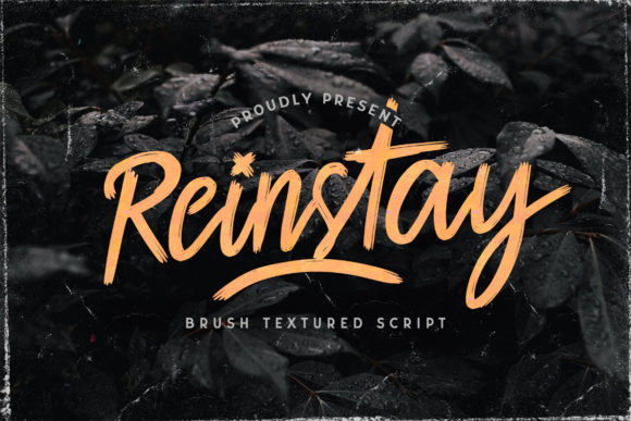 Reinstay: The Font That Elevates Your Brand’s Visual Story