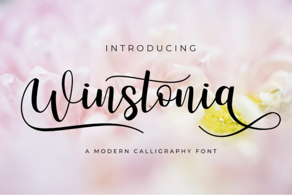Winstonia: A Font That Elevates Your Brand